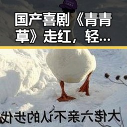 国产喜剧《青青草》走红，轻松幽默引发全民共鸣