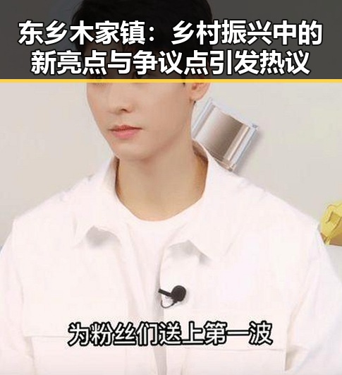 东乡木家镇：乡村振兴中的新亮点与争议点引发热议